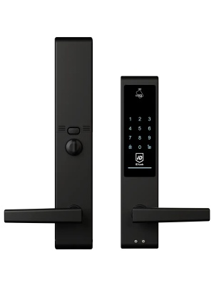 Elektroniskt d�rrl�s Svart (NCS S 9000-N) Monterad