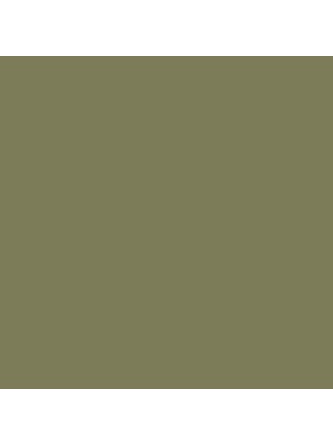 F�rgbyte Baskul�r Gr�n NCS S 5020-G30Y 